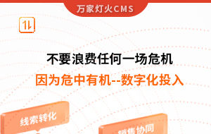 不要浪費(fèi)任何一場(chǎng)危機(jī)，因?yàn)槲Ｖ杏袡C(jī)--數(shù)字化投入